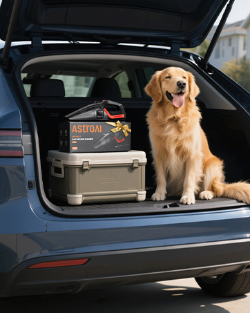car vacuum
