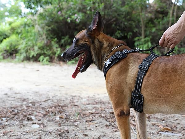 dog vest with handle