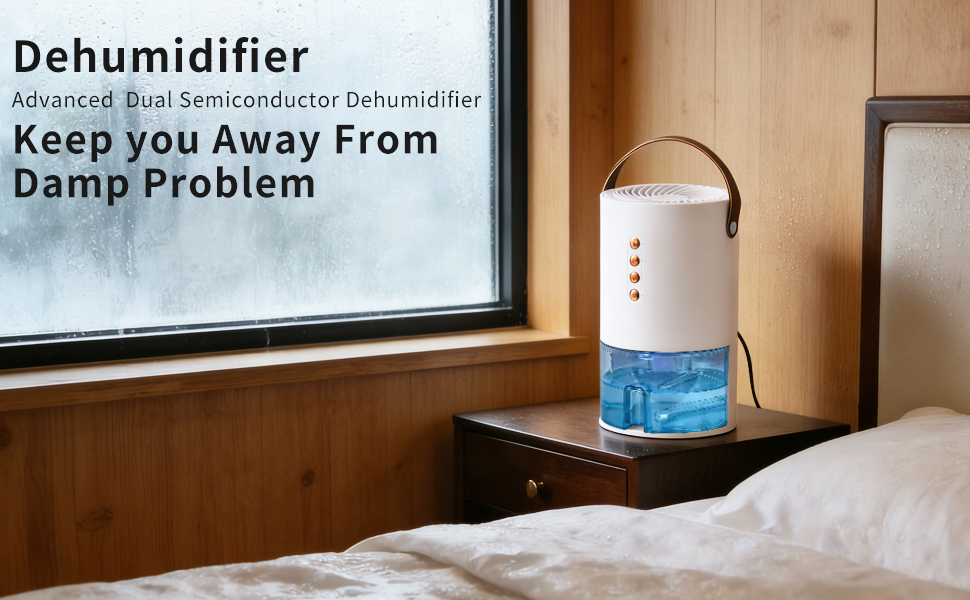 Dehumidifier