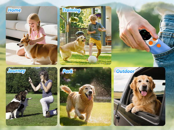 stop dog barking device