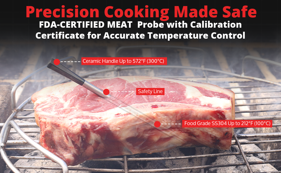 wireless meat probe