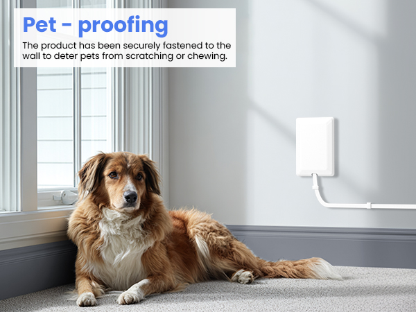 Pet - Proofing 