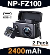 fz100