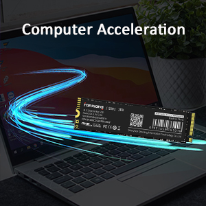 nvme ssd 256gb