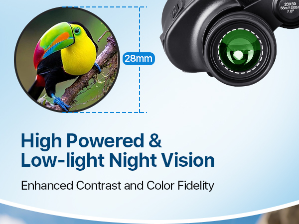 Binoculars for Adults with Smartphone Adapter