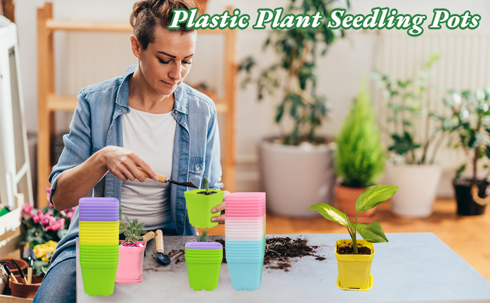 8 seedling planters