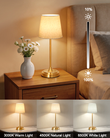Battery Operated Lamp