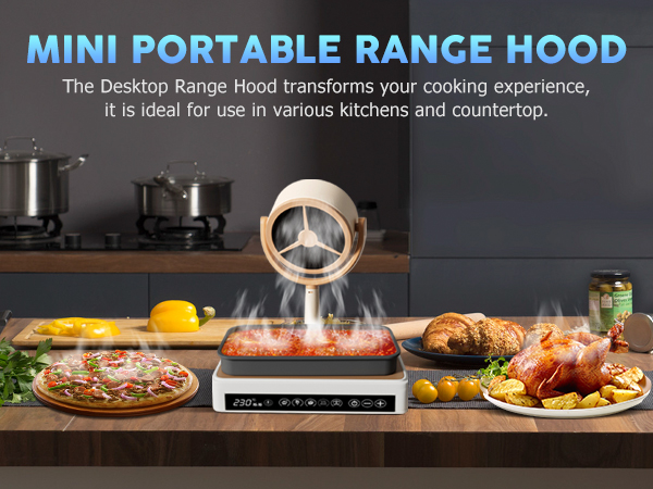 portable range hood