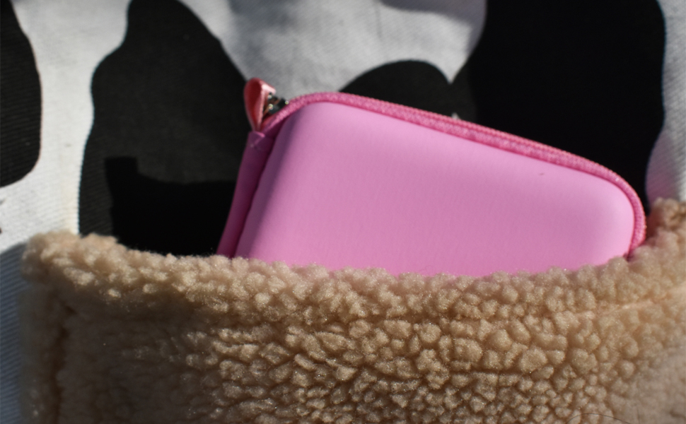 mini mic case