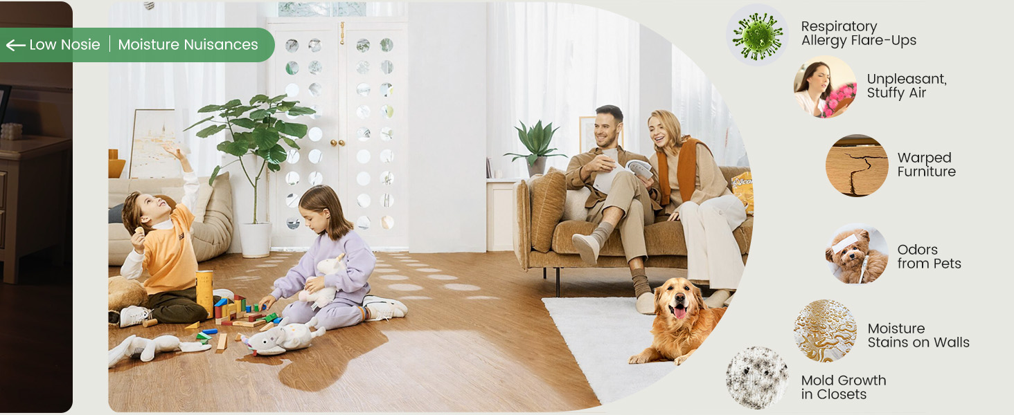 dehumidifiers