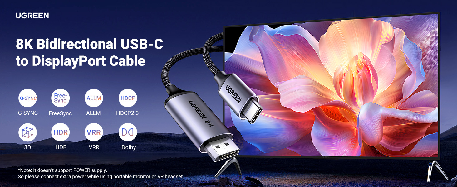 USBC to DisplayPort cable