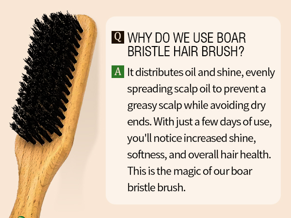 bristle brush