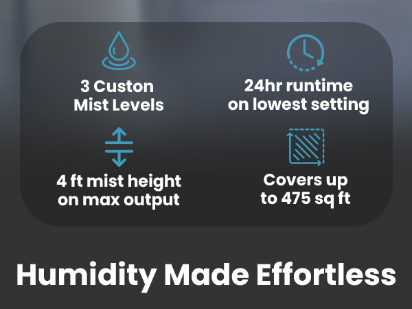 Top Fill Humidifiers for Bedroom