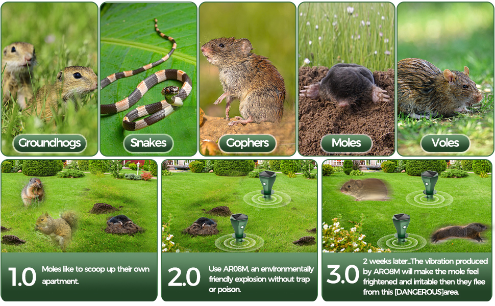 mole deterrent for yard