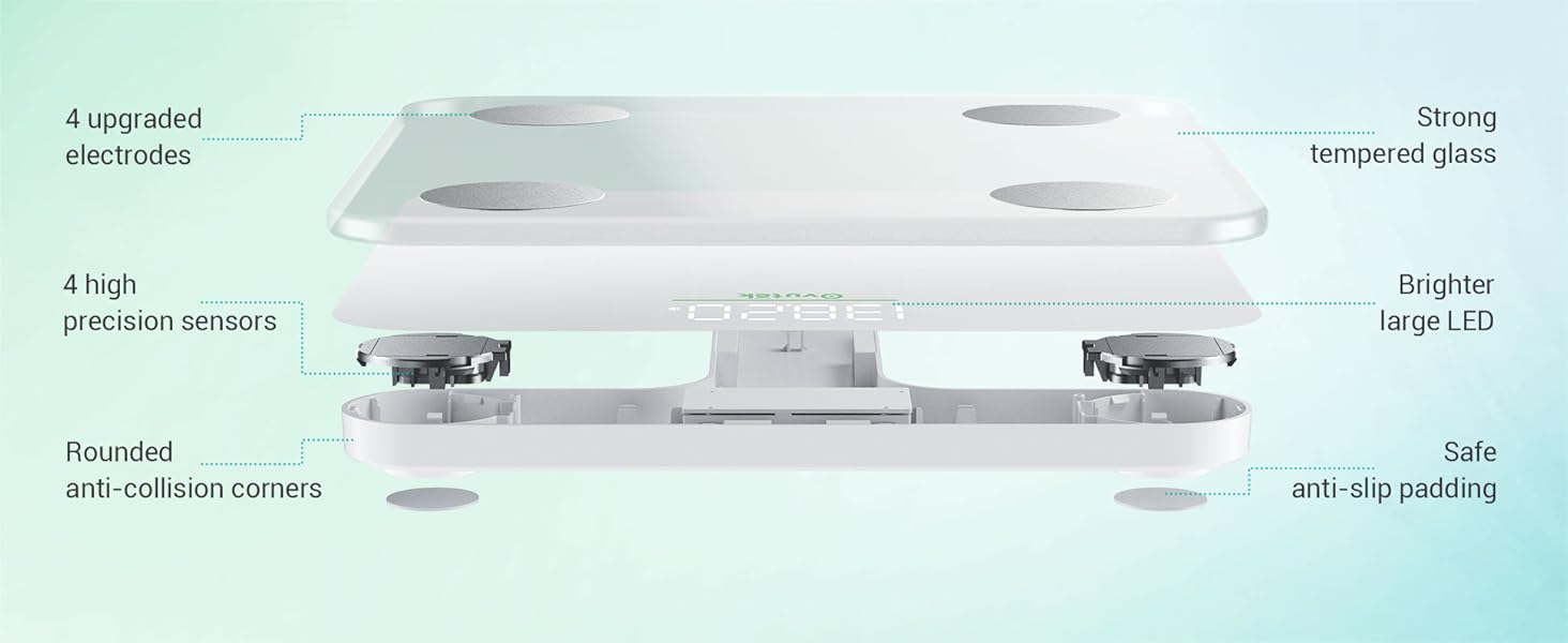 scale for body weight