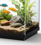 2.3G Smart Aquarium - Ultra Clear Glass Fish Tank