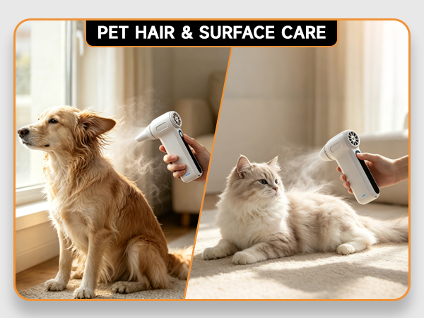 PET HAIR &amp; SURFACE CARE