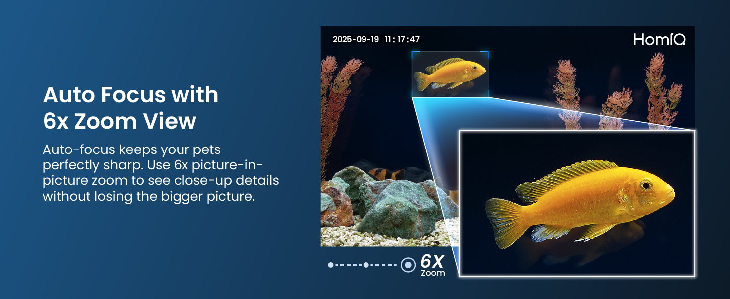 Auto focus with 6x zoom view