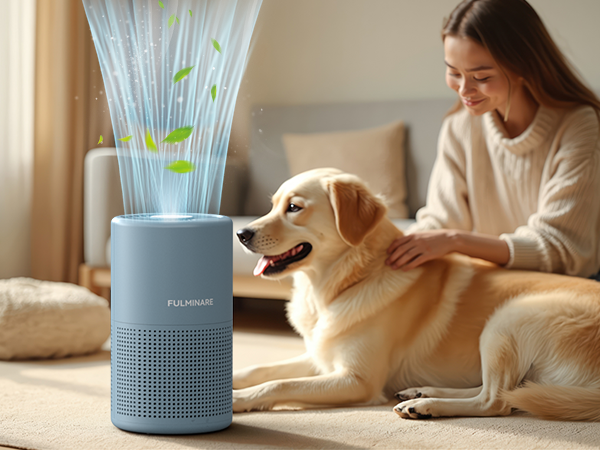 Air Purifiers
