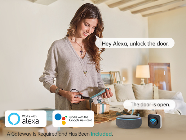 Work with Alexa