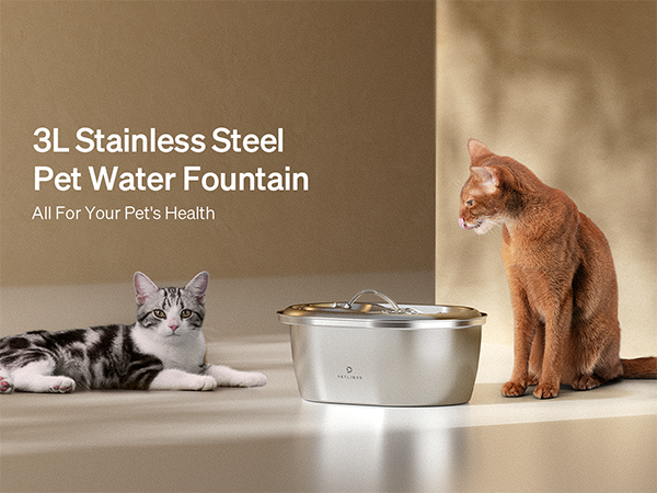 cat fountain