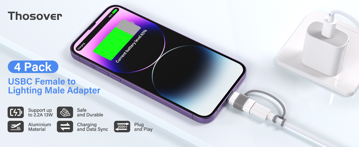 lightning to usb c adapter