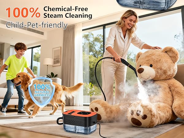 steam cleaner