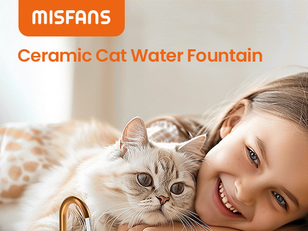 cat fountain