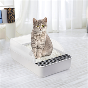 cat litter box with lid