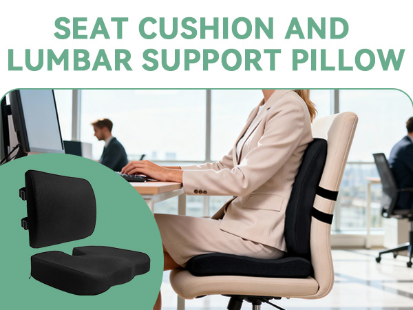 seat cushion and lumber support