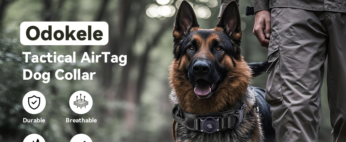 airtag dog collar