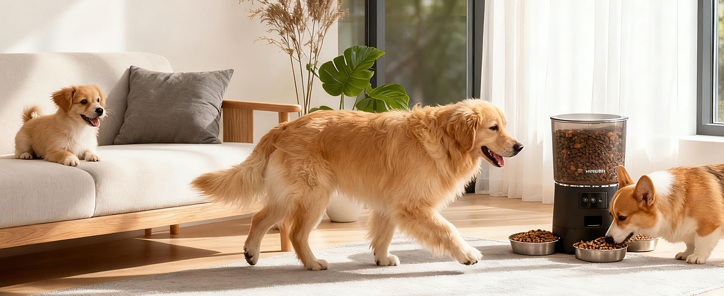 automatic cat feeders