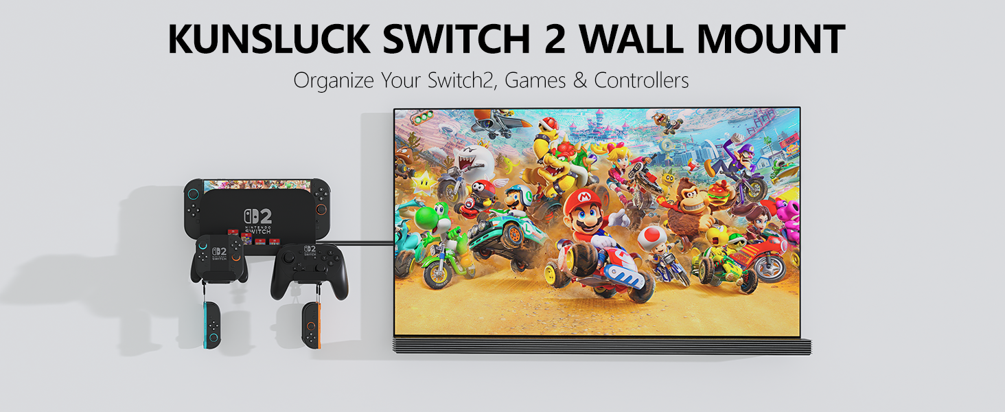 Switch 2 Wall Mount