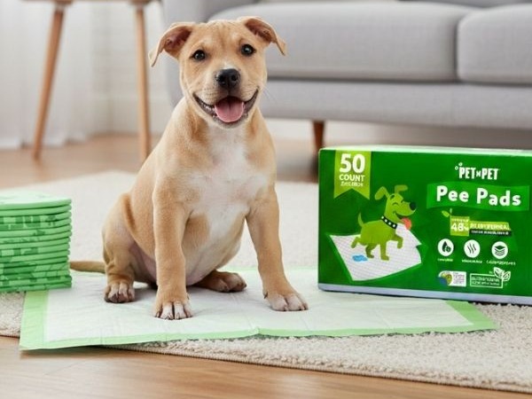 Pet N Pet 50 Counts Pee Pads for Dogs, 48% USDA Certified Plant Based Dog Pad, Unscented