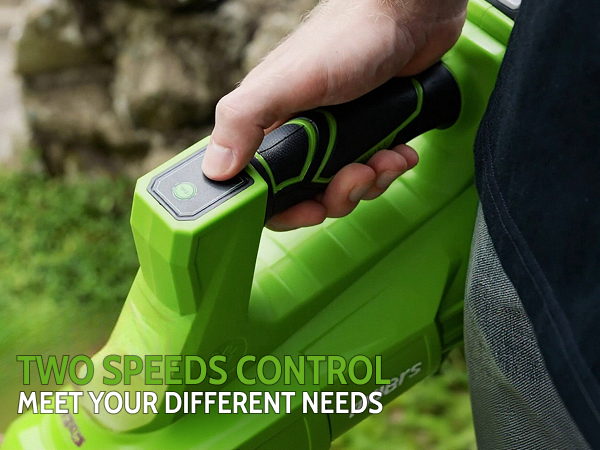 Leaf Blower Cordless