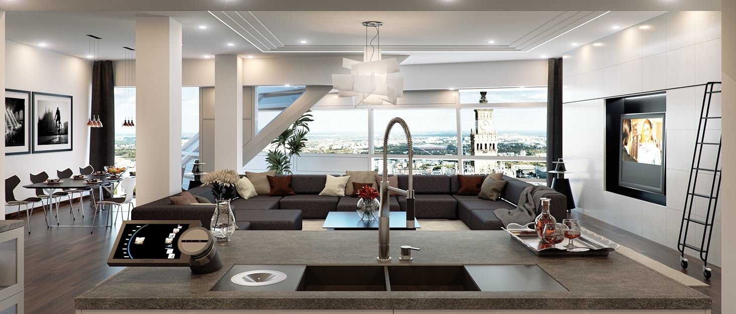 handheld steam cleaner 1