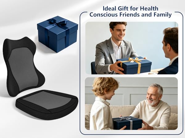 back support pillow for chair