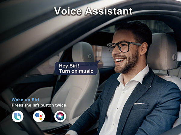 Voice Assistant