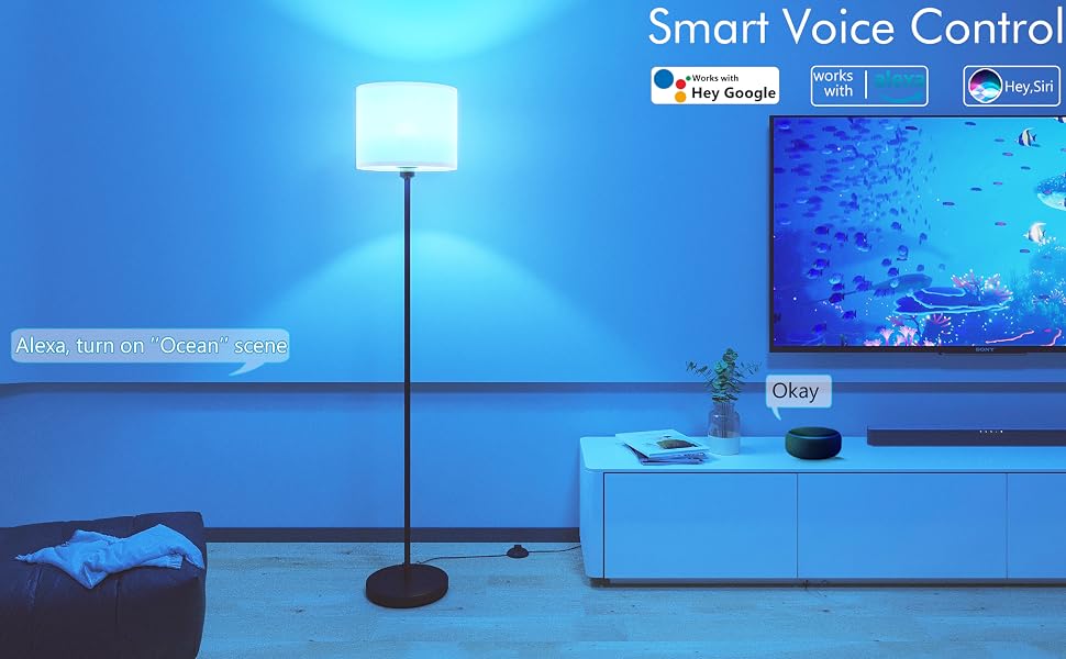 Smart Voice control