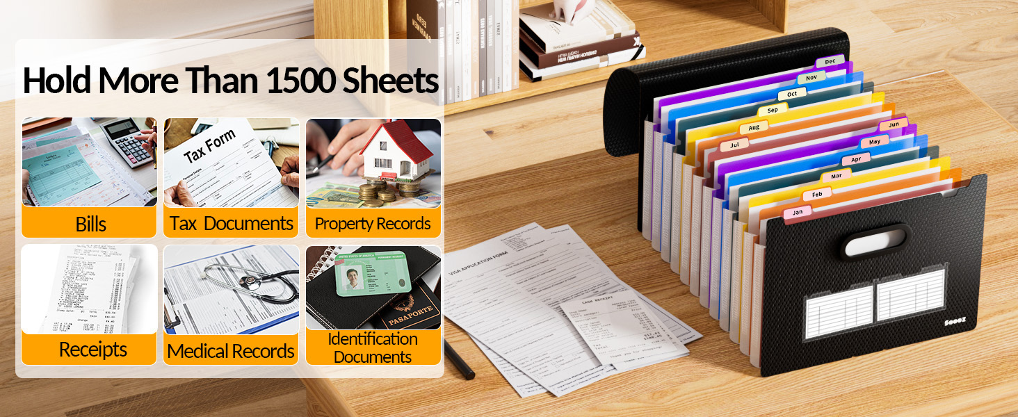 large capacity filing organizer