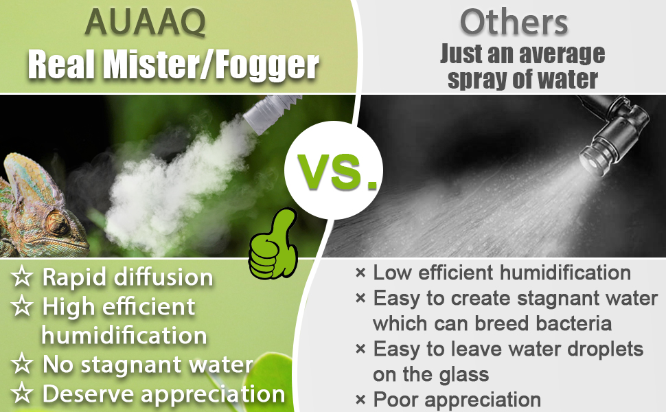 REAL MISTER/FOGGER
