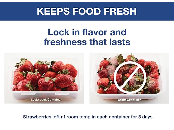 LocknLock containers keep foods fresh longer than competitors