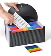 Cesil Accordion File Organizer, 13 Pocket Expanding File Folder, 10.2