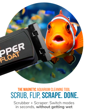 flipper deepsee magnetic aquarium magnifying glass underwater viewer coral lens reef freshwater