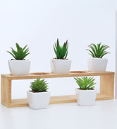Artificial succulent plant potted suit