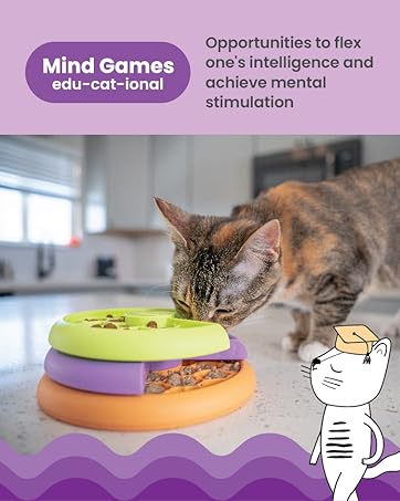 Mind Games. Educational toys.