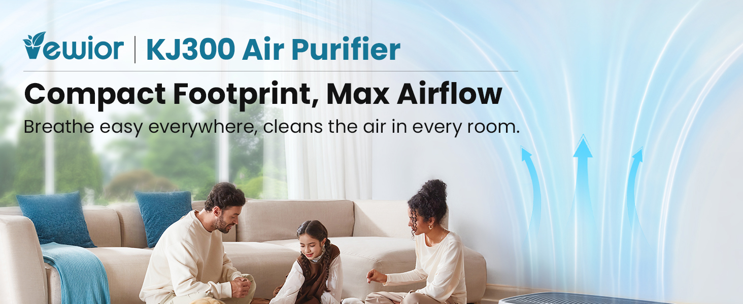 air purifiers large room