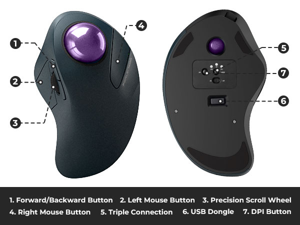mouse
