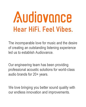 Audiovance HiFi Wired Earbuds VIbes 202