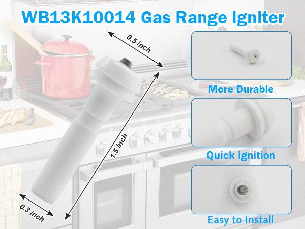 WB13K10014 Electrode Kit